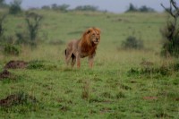 /album/fotos-afrika/img-4154-small-jpg/